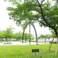 実際訪問したユーザーが直接撮影して投稿した門真公園さくら広場(門真)の写真