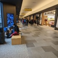 実際訪問したユーザーが直接撮影して投稿した羽田空港和菓子くらづくり本舗 羽田エアポートガーデン店の写真