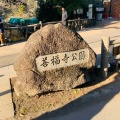 実際訪問したユーザーが直接撮影して投稿した善福寺公園善福寺公園の写真