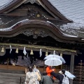 実際訪問したユーザーが直接撮影して投稿した織田神社越前二の宮 劔神社の写真