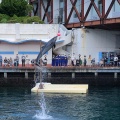 実際訪問したユーザーが直接撮影して投稿した内浦長浜水族館 / アクアリウム伊豆・三津シーパラダイスの写真