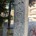 実際訪問したユーザーが直接撮影して投稿した木月神社住吉神社の写真