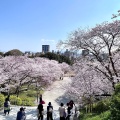 実際訪問したユーザーが直接撮影して投稿した西公園神社光雲神社の写真