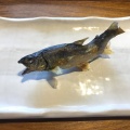 あゆの塩焼き - 実際訪問したユーザーが直接撮影して投稿した上中野魚介 / 海鮮料理いろり茶屋 鮎の庄の写真のメニュー情報