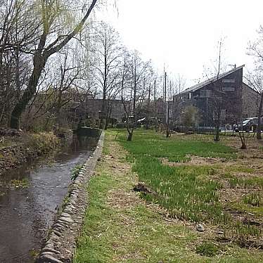 実際訪問したユーザーが直接撮影して投稿した羽衣町公園矢川緑地の写真