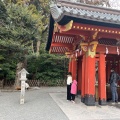 実際訪問したユーザーが直接撮影して投稿した雪ノ下神社鶴岡八幡宮 手水舎の写真