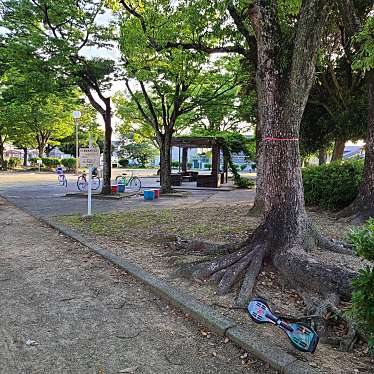 実際訪問したユーザーが直接撮影して投稿した中岩田公園岩鼻公園の写真