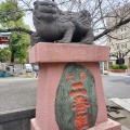 実際訪問したユーザーが直接撮影して投稿した木場神社木場洲崎神社の写真