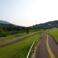 実際訪問したユーザーが直接撮影して投稿した窪公園紀の川万葉の里公園の写真