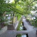 実際訪問したユーザーが直接撮影して投稿した今井南町河川渋川の写真