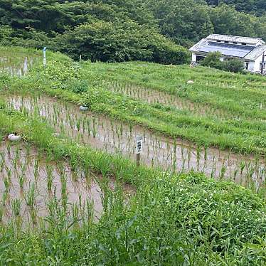 実際訪問したユーザーが直接撮影して投稿した石部自然名所石部棚田の写真