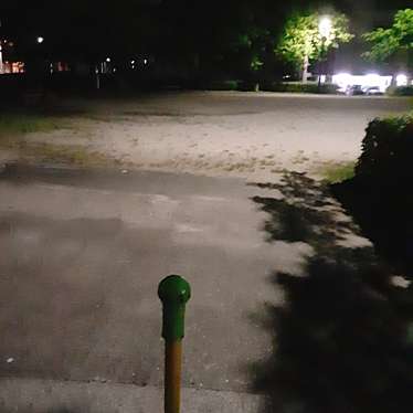 実際訪問したユーザーが直接撮影して投稿した井口公園堤溝公園の写真