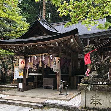 実際訪問したユーザーが直接撮影して投稿した桜井神社等彌神社の写真