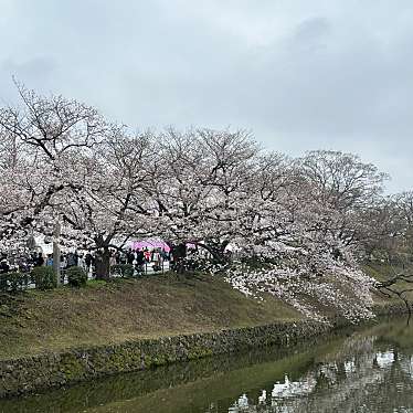 舞鶴公園のundefinedに実際訪問訪問したユーザーunknownさんが新しく投稿した新着口コミの写真