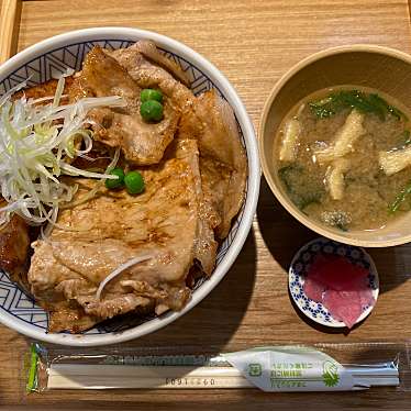 実際訪問したユーザーが直接撮影して投稿した寺戸町丼もの元祖豚丼屋 TONTON 東向日店の写真