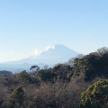 実際訪問したユーザーが直接撮影して投稿した山ノ内寺建長寺 半僧坊の写真