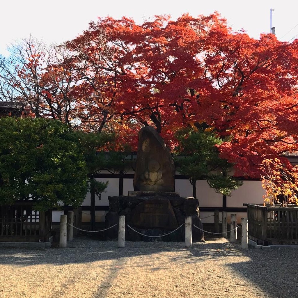 タエゾーさんが投稿した百々町寺のお店宝鏡寺/ホウキョウジの写真