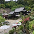 実際訪問したユーザーが直接撮影して投稿した岡寺岡寺の写真