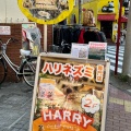 実際訪問したユーザーが直接撮影して投稿した山下町テーマカフェハリネズミカフェHARRY 横浜中華街店の写真