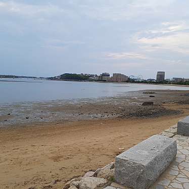 実際訪問したユーザーが直接撮影して投稿した御島崎公園香椎海岸遊歩道の写真