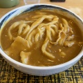 カレーうどん - 実際訪問したユーザーが直接撮影して投稿した中城町うどんいづみや 東バイパス店の写真のメニュー情報