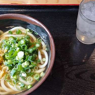 実際訪問したユーザーが直接撮影して投稿した本大町うどんうどん屋 一 本大店の写真