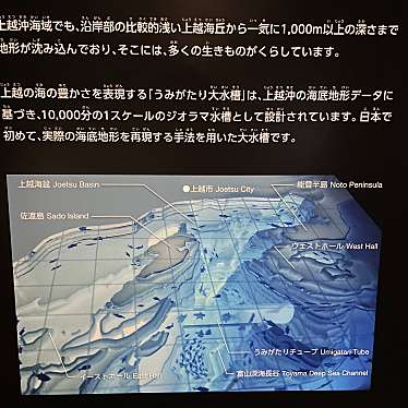 上越市立水族博物館 うみがたりのundefinedに実際訪問訪問したユーザーunknownさんが新しく投稿した新着口コミの写真