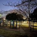 実際訪問したユーザーが直接撮影して投稿した瀬田公園唐橋公園の写真