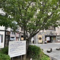 実際訪問したユーザーが直接撮影して投稿した栄町公園シーボルトの桜の写真
