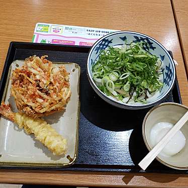 瀬戸うどん イオンモール秋田店のundefinedに実際訪問訪問したユーザーunknownさんが新しく投稿した新着口コミの写真