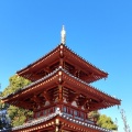 実際訪問したユーザーが直接撮影して投稿した中央寺宝仙寺三重塔の写真