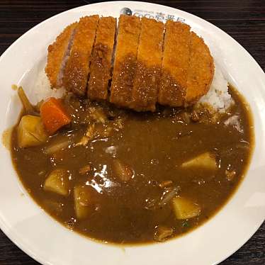 実際訪問したユーザーが直接撮影して投稿した市川南カレーCoCo壱番屋 JR市川駅南口店の写真