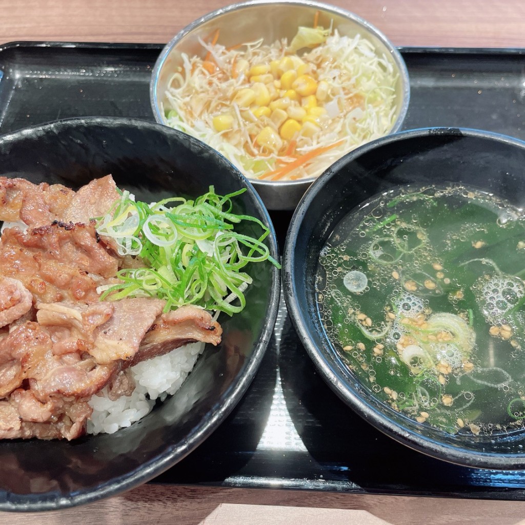 ユーザーが投稿したカルビ丼(小)サラダセットの写真 - 実際訪問したユーザーが直接撮影して投稿した高柳東町韓国料理韓丼 岡山高柳店の写真