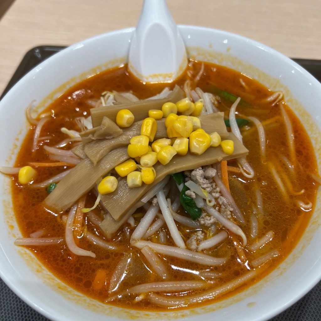 ユーザーが投稿した辛味噌ラーメンの写真 - 実際訪問したユーザーが直接撮影して投稿した長町ラーメン / つけ麺まんみザ・モール仙台長町店の写真