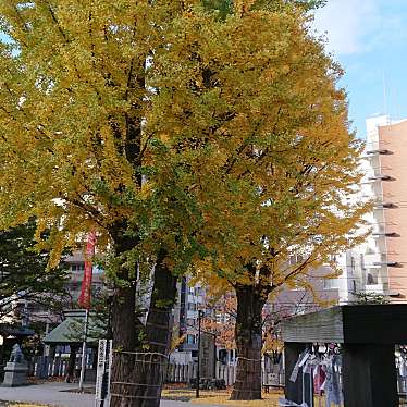 実際訪問したユーザーが直接撮影して投稿した南二条東神社北海道神宮 頓宮の写真