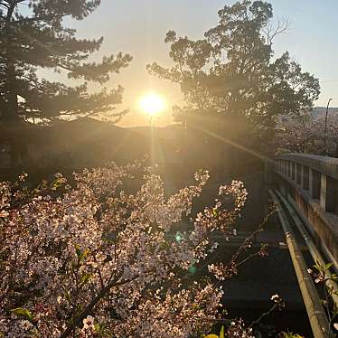 夙川河川敷緑地のundefinedに実際訪問訪問したユーザーunknownさんが新しく投稿した新着口コミの写真