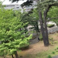 実際訪問したユーザーが直接撮影して投稿した市場町公園羽衣公園の写真