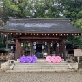 実際訪問したユーザーが直接撮影して投稿した吉野山神社吉野神宮の写真