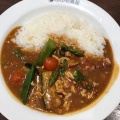 夏野菜カレー - 実際訪問したユーザーが直接撮影して投稿した神殿町カレーCoCo壱番屋 奈良神殿店の写真のメニュー情報