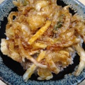 かき揚げ天丼 - 実際訪問したユーザーが直接撮影して投稿した東池袋天ぷら天成の写真のメニュー情報