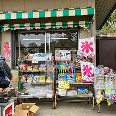 実際訪問したユーザーが直接撮影して投稿した高鼻町居酒屋白井食堂の写真