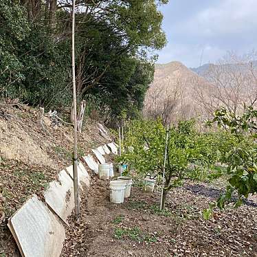 実際訪問したユーザーが直接撮影して投稿した室本町古墳丸山古墳の写真