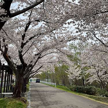 戸田記念墓地公園のundefinedに実際訪問訪問したユーザーunknownさんが新しく投稿した新着口コミの写真