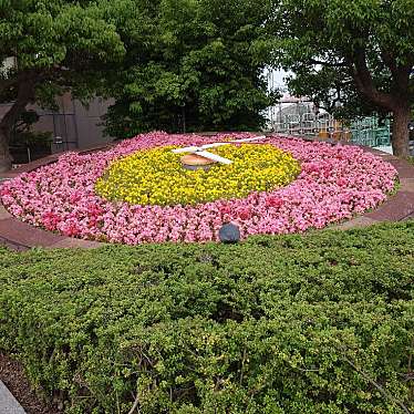 実際訪問したユーザーが直接撮影して投稿した永楽温泉町地域名所鳥取駅前花時計の写真
