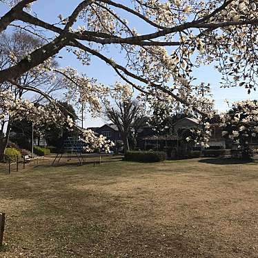 実際訪問したユーザーが直接撮影して投稿した小林公園城山公園の写真