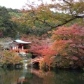 実際訪問したユーザーが直接撮影して投稿した醍醐東大路町寺醍醐寺の写真