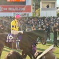 実際訪問したユーザーが直接撮影して投稿した古作競馬場中山競馬場の写真