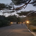 実際訪問したユーザーが直接撮影して投稿した宇治館町神社伊勢神宮の写真