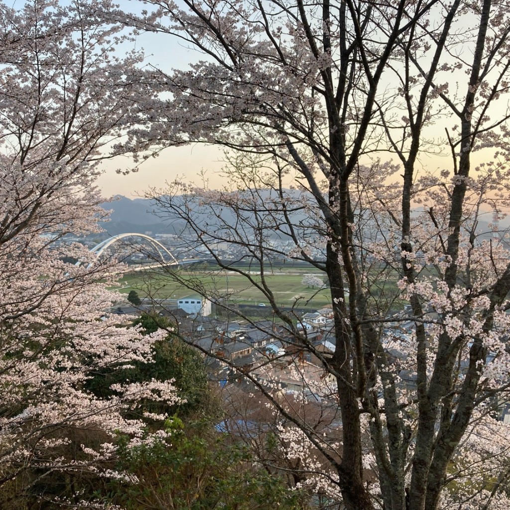 実際訪問したユーザーが直接撮影して投稿した猪崎公園城山公園の写真