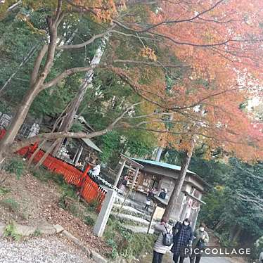 実際訪問したユーザーが直接撮影して投稿した嵯峨小倉山田淵山町神社御髪神社の写真